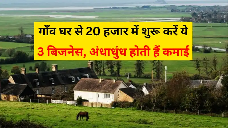 Village Business Idea: गाँव घर से 20 हजार में शुरू करें ये 3 बिजनेस, अंधाधुंध होती हैं कमाई